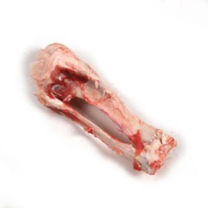 Frozen Pork Humerus Bone