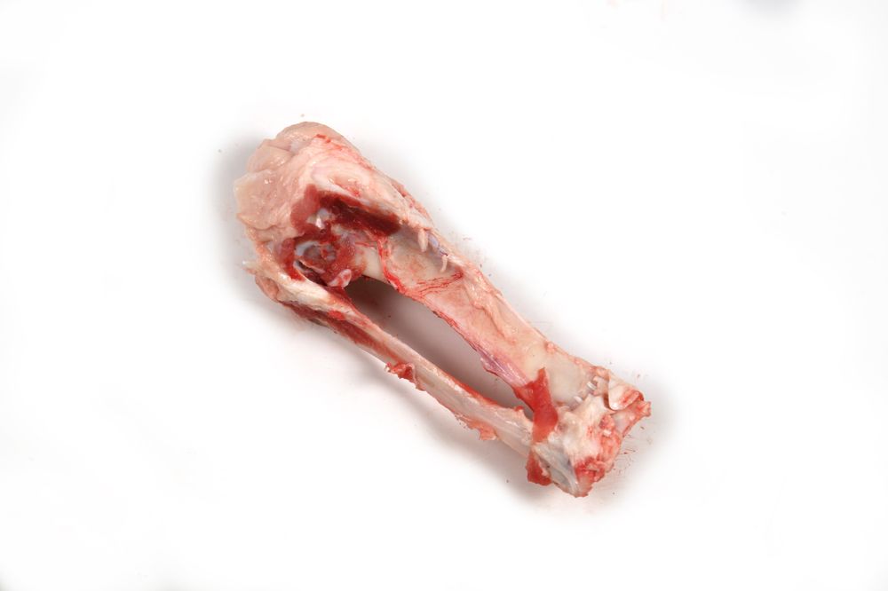 Frozen Pork Humerus Bone