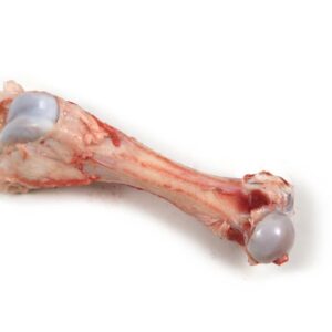 Frozen Pork Femur Bone