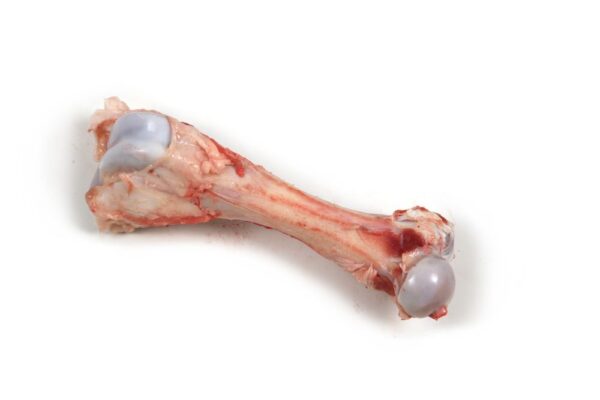 Frozen Pork Femur Bone